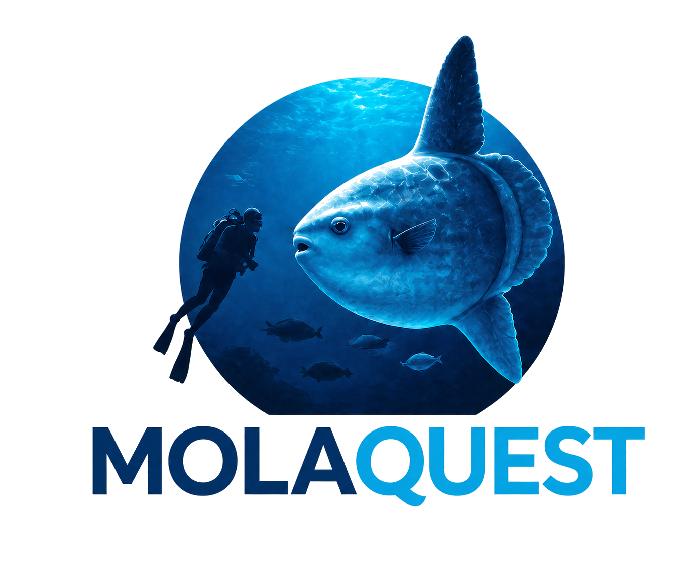 MolaQuest ocean sunfish and diver